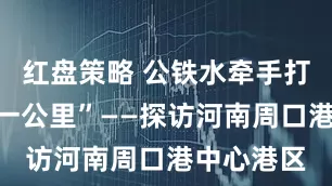 红盘策略 公铁水牵手打通“最后一公里”——探访河南周口港中心港区
